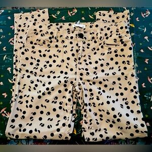 BCBGeneration Jasper Polka Dot slim leg pants size 29